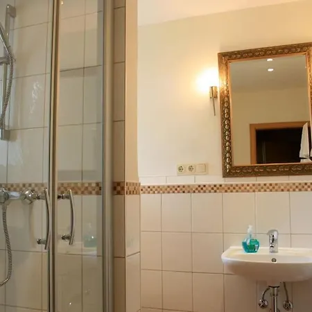 Studio Fuer 2 Pers Mit Du/wc Braunlage